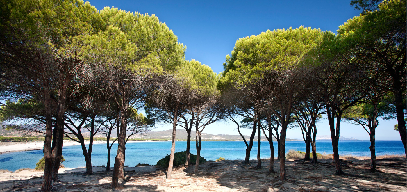  Sardegna